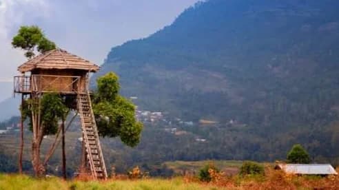 Munnar Honeymoon Package  4