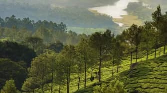 Munnar Honeymoon Package  2