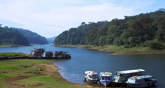 Munnar & Thekkady Hill Station Tour 2
